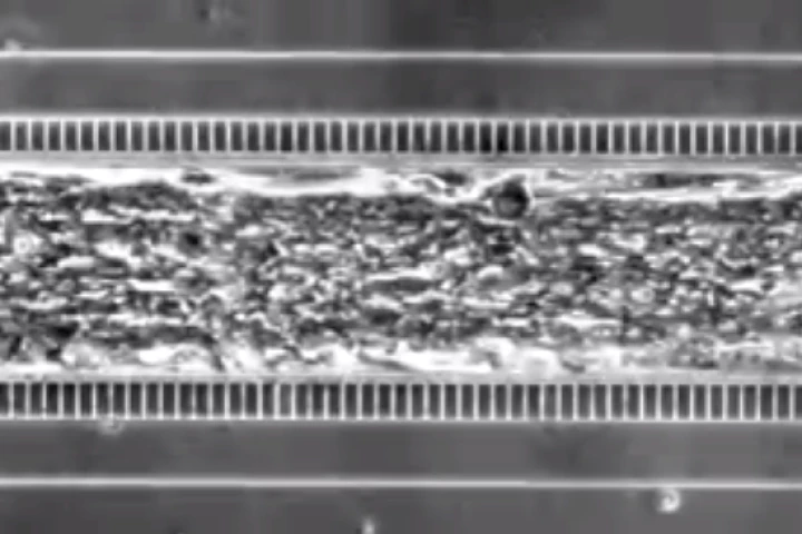 The heart-on-a-chip consists of a series of living cells molded into a structure that is able to beat and react just like the real thing