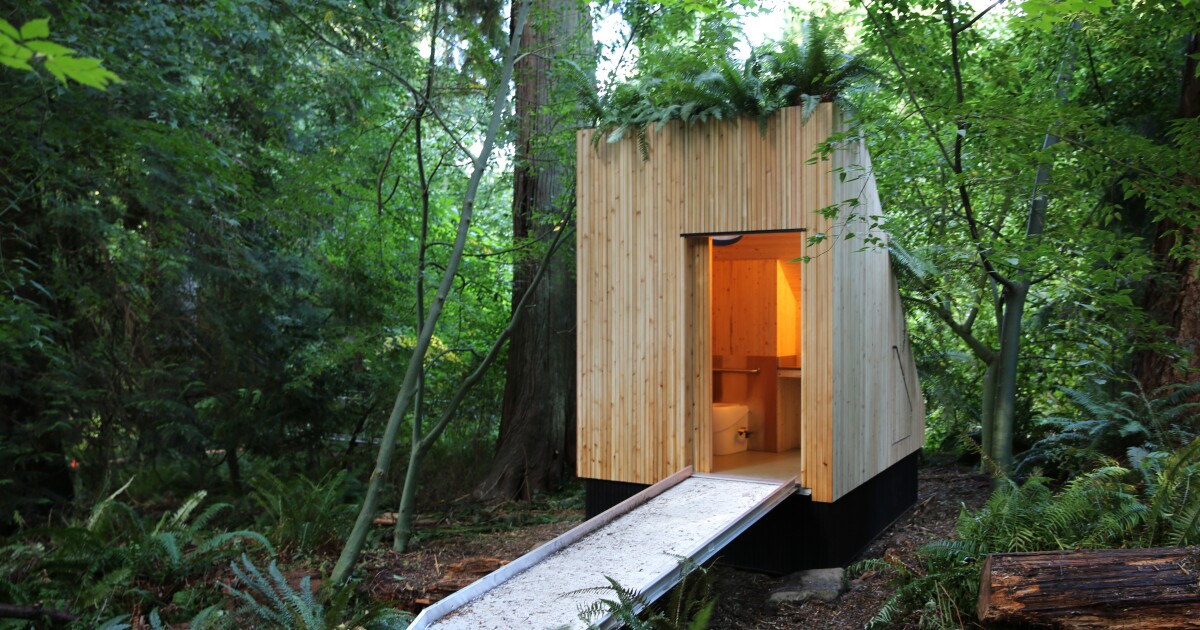 Mushrooms power eco-friendly composting toilet innovation