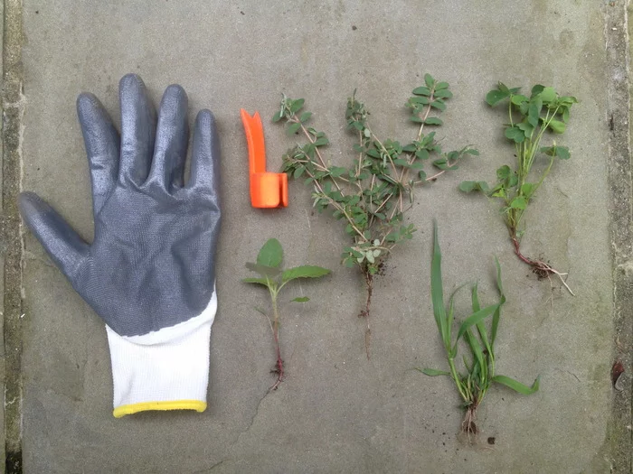 The Ring Weeder and a pile of weeds pulled out from the roots