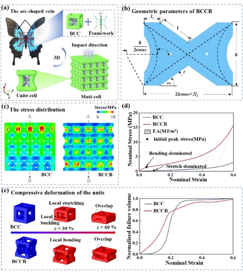 A diagram shows how the structure of butterfly wings could be incorporated into load-bearing structures