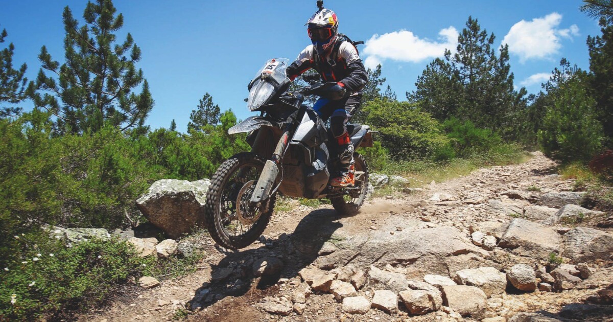 ducati desert sled vs ktm 790 adventure