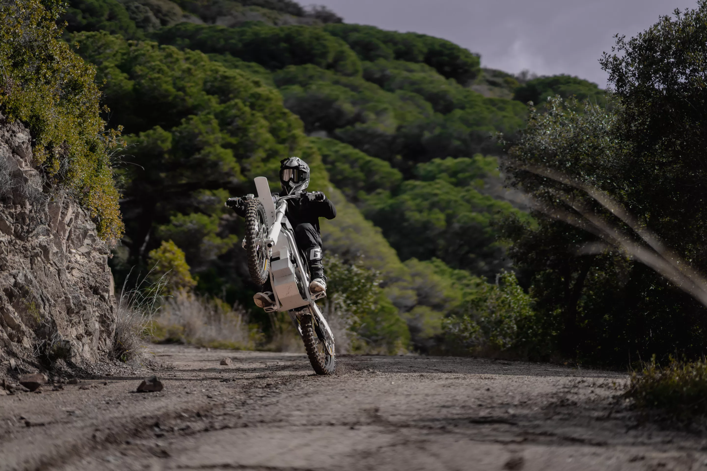 The Bukk is available with either a 13-kW or 16-kW (peak) Jante motor for up to 456 Nm of torque and top speeds of over 90 km/h