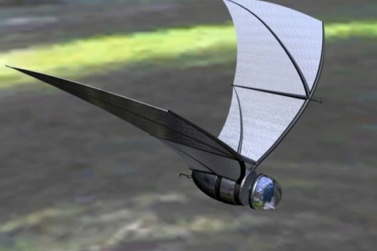 Six-inch bat spyPhoto Credit: Eric Maslowsk