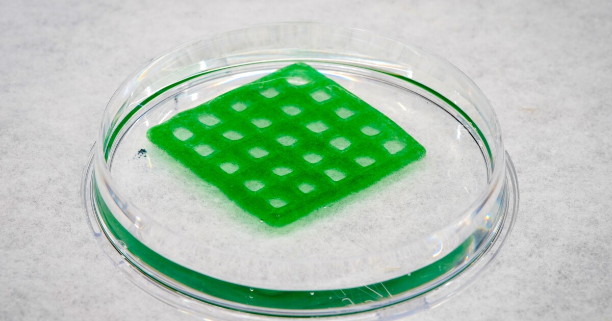 Material uses live cyanobacteria to neutralize waterborne pollutants Material uses live cyanobacteria to neutralize waterborne pollutants