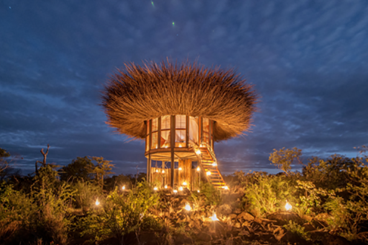 Bird Nest hotel sleeps Kenyan safarigoers above the treetops