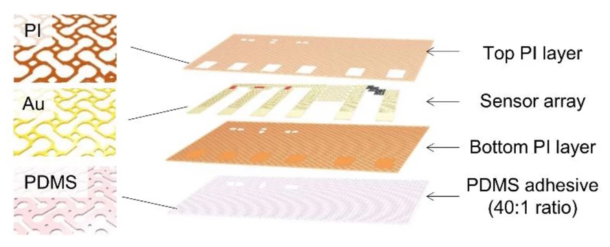 Schematic detailing a newly developed electronic skin with dumb-bell-shaped pores