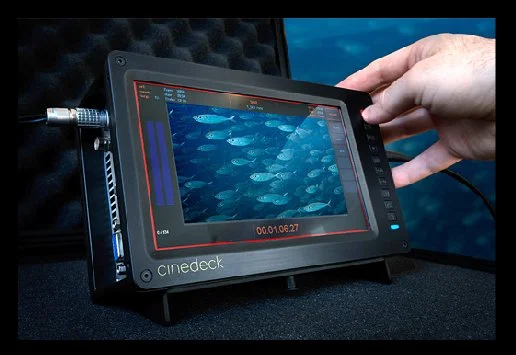 The display can be used to preview, focus and control all aspects of the recording