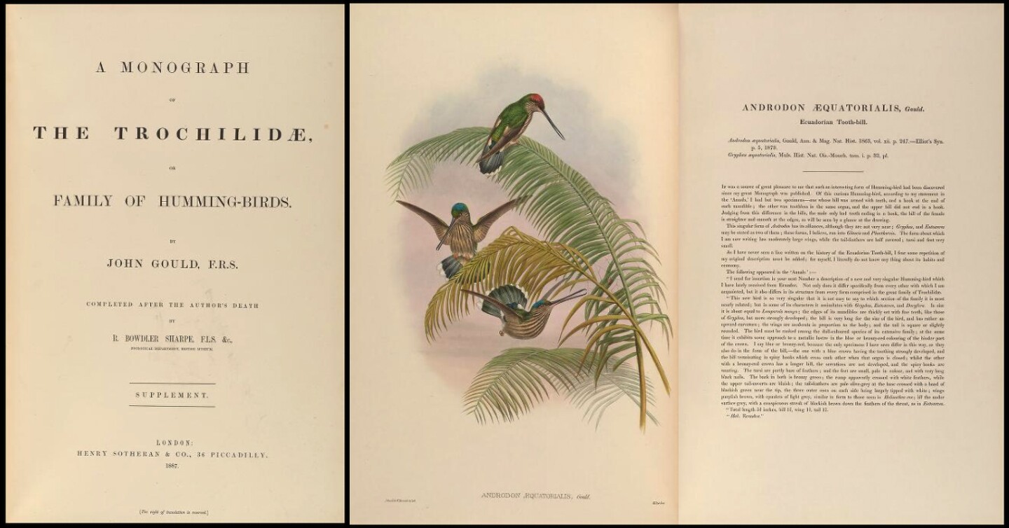 $187,500 | A Monograph of the Trochilidae, or Family of Hummingbirds by John Gould | Auction House: Arader Galleries (no link) | Sale price: US$187,500 | Official Estimate: US$200,000 to $300,000 | Date of sale: September 29, 2018