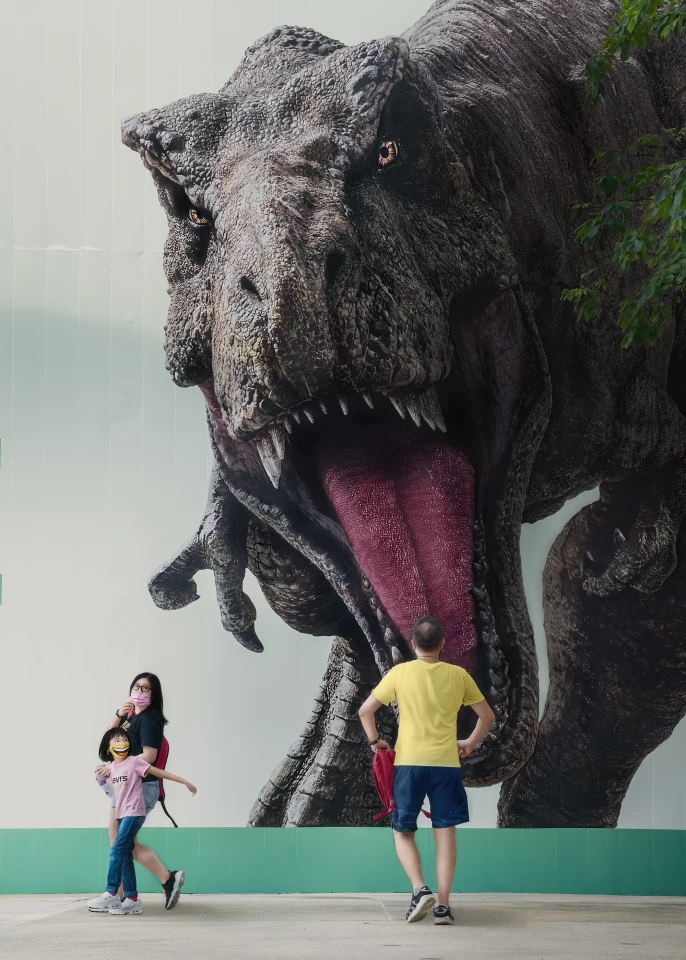 A man is staring back at a life-sized photo of a T-Rex