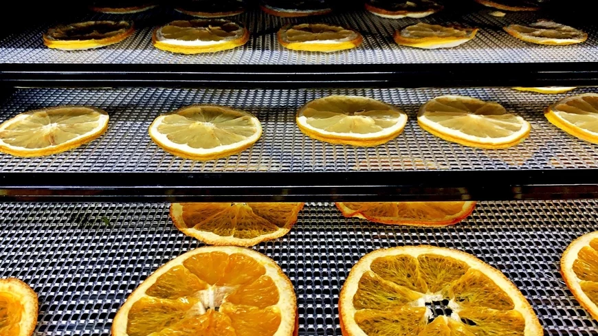 Orange slices that were quickly and efficiently dried using the new technique