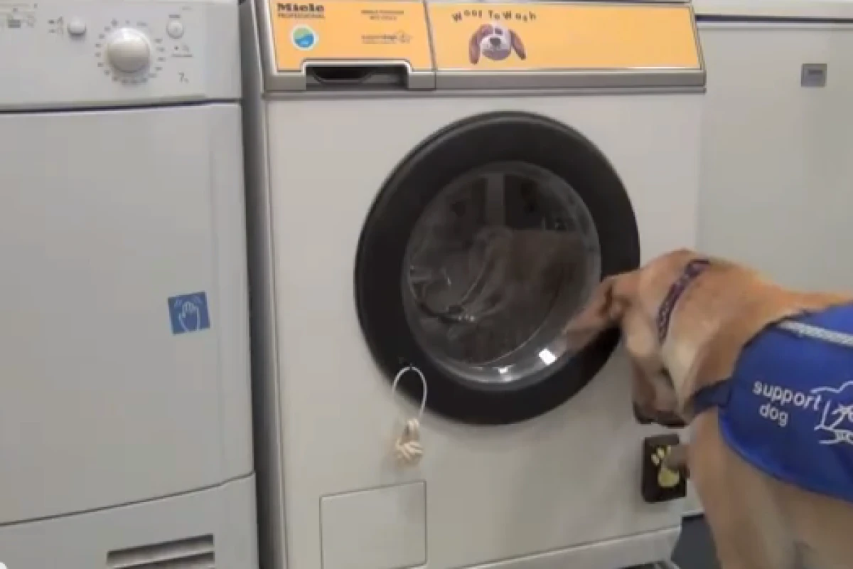 The Woof to Wash washing is designed so that service dogs can open the door with their paw
