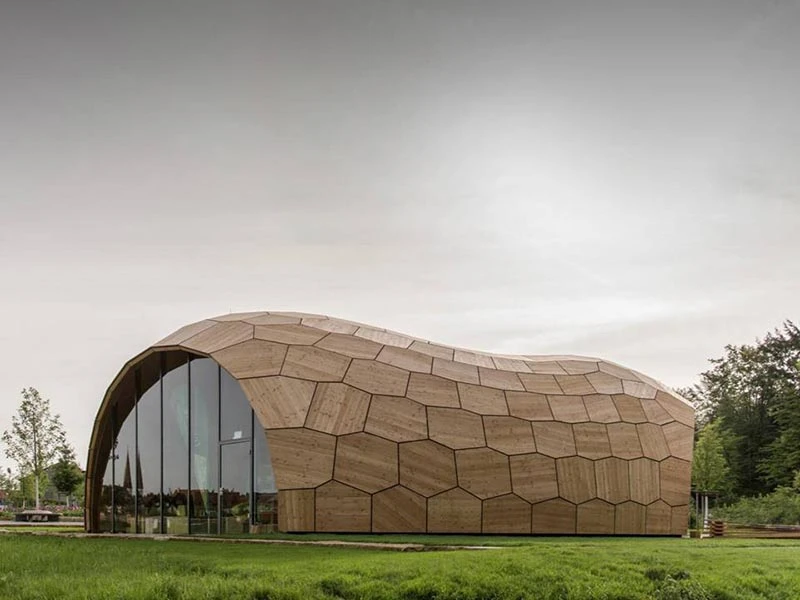 Robots have helped to create a lightweight, ultra-thin wooden exhibition hall (Photo: ICD/ITKE/IIGS University of Stuttgart)