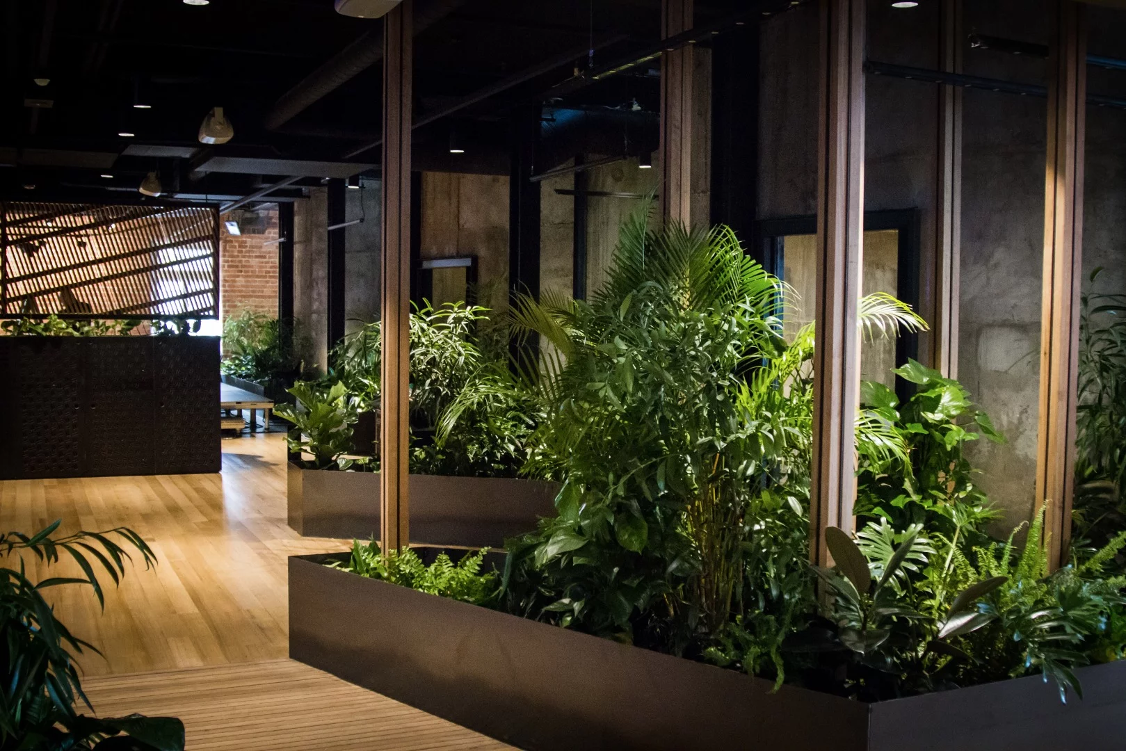 Nestled away in the indoor garden are sound-proofed conference rooms