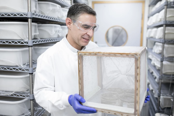 Transmission:Zero scientist Prof. George Christophides, with a cage of the genetically modified Anopheles gambiae mosquitoes