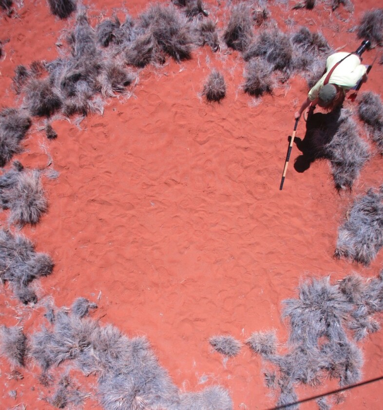 Researchers gather data on the fairy circles in Namibia, Africa