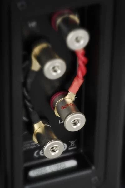 Bi-ampable binding posts