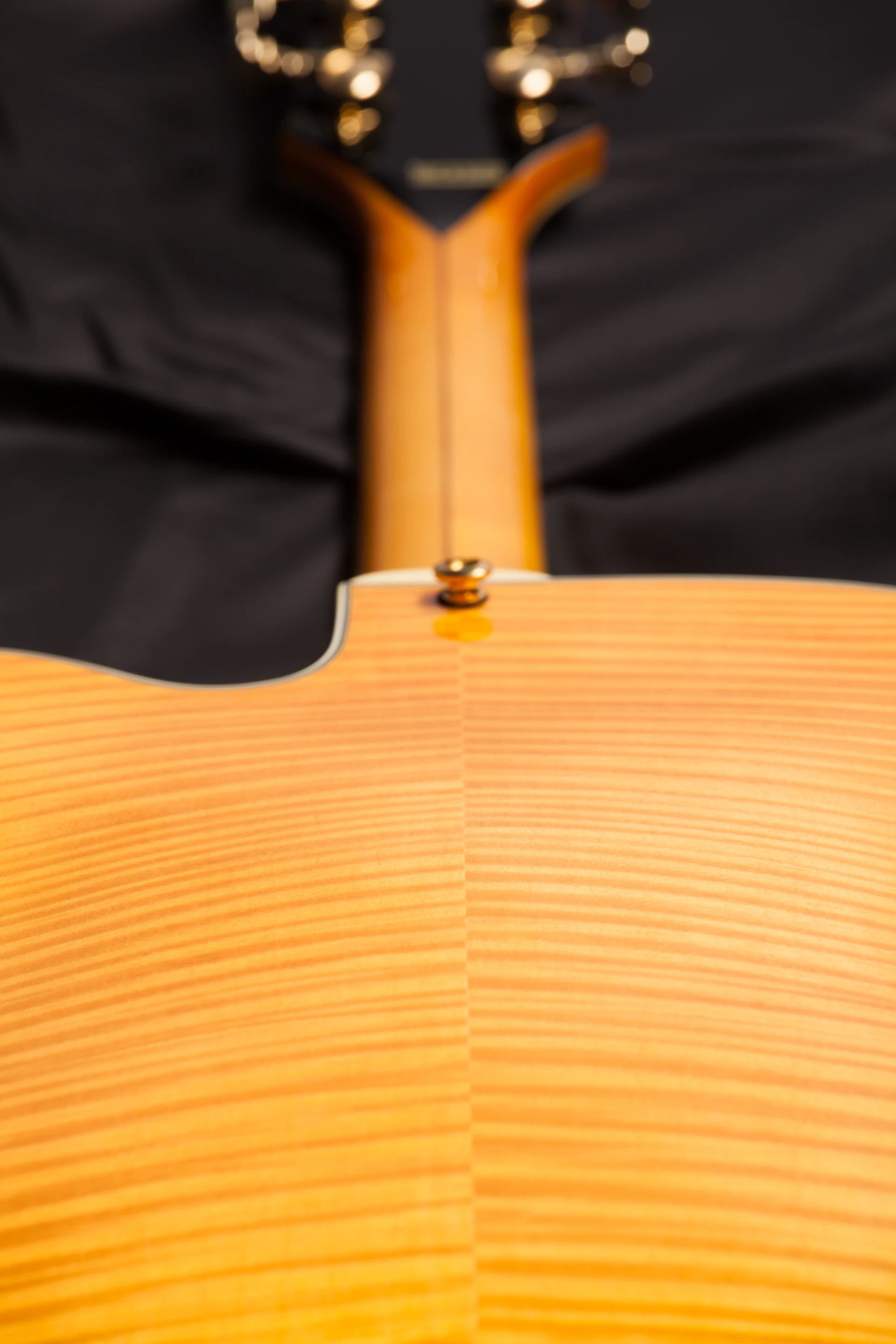 Detailing of the D'Angelico reissue guitars