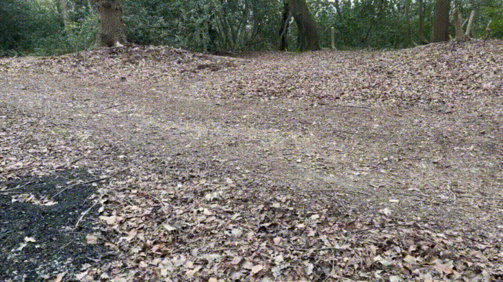 Thor makes riding trails a little easier on the legs
