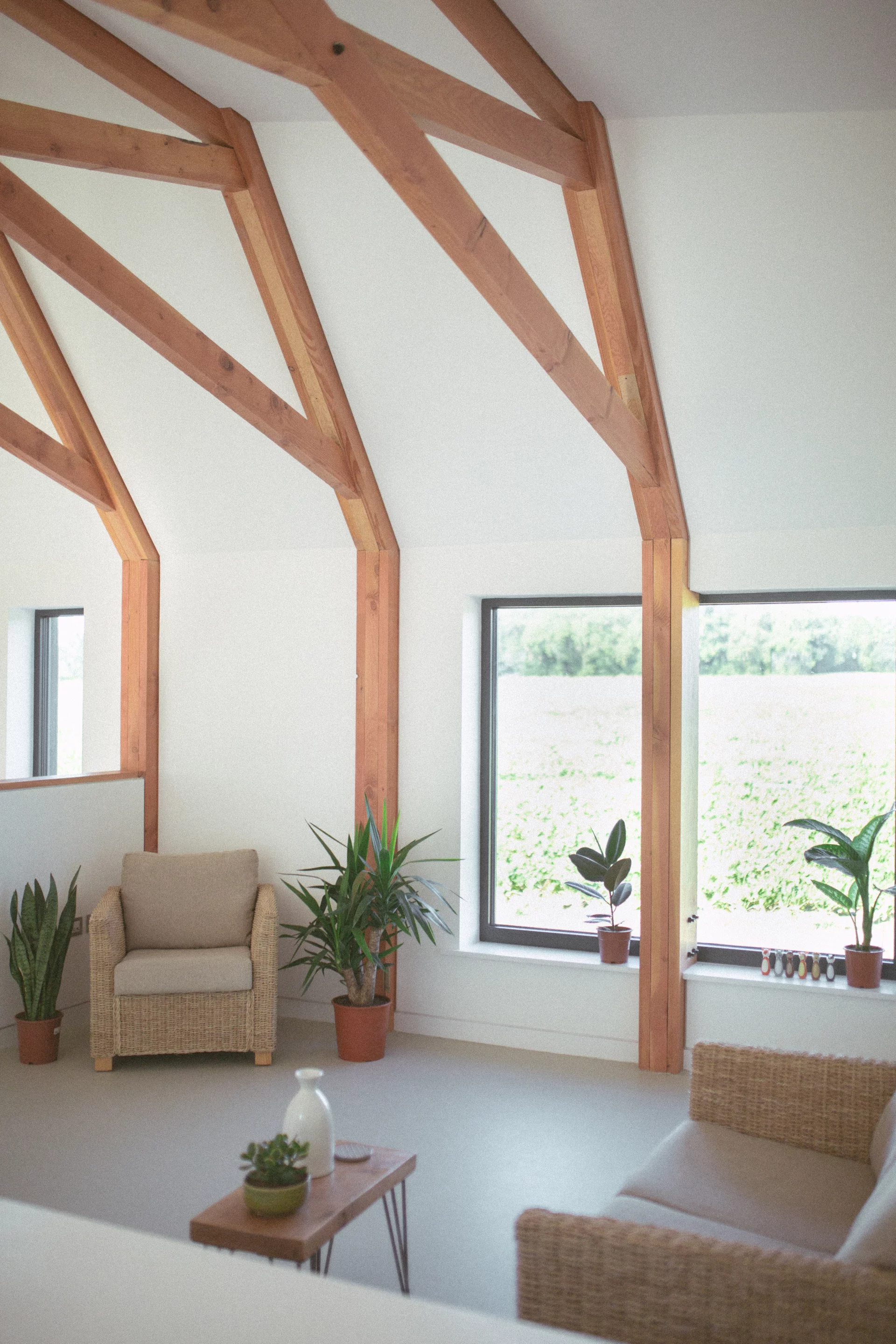 Black Barn's living room is open and light-filled