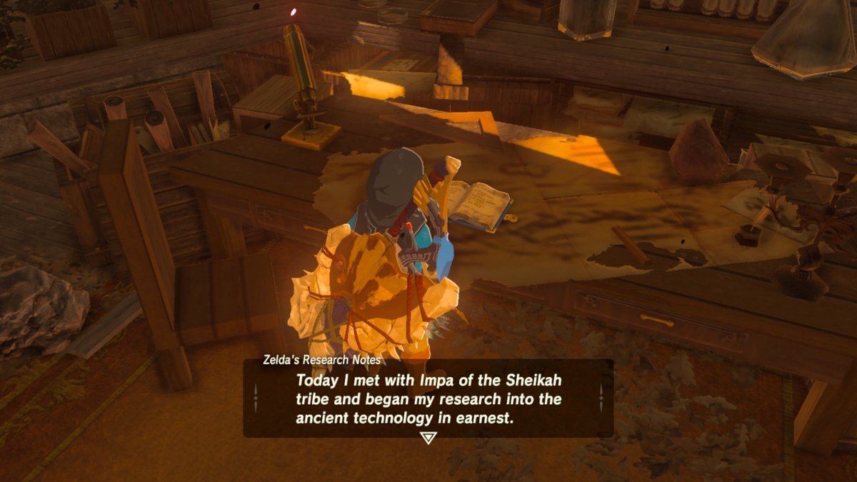 Zelda's research journal.