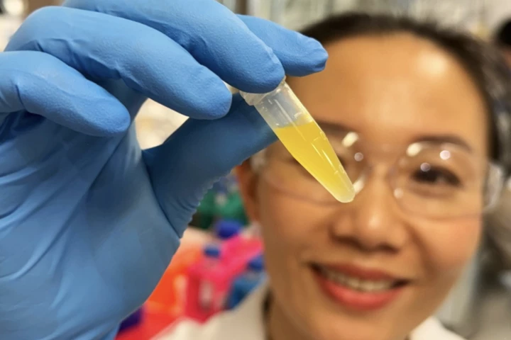 Dao Nguyen examines a vial of lutein formulation for use in eyedrops