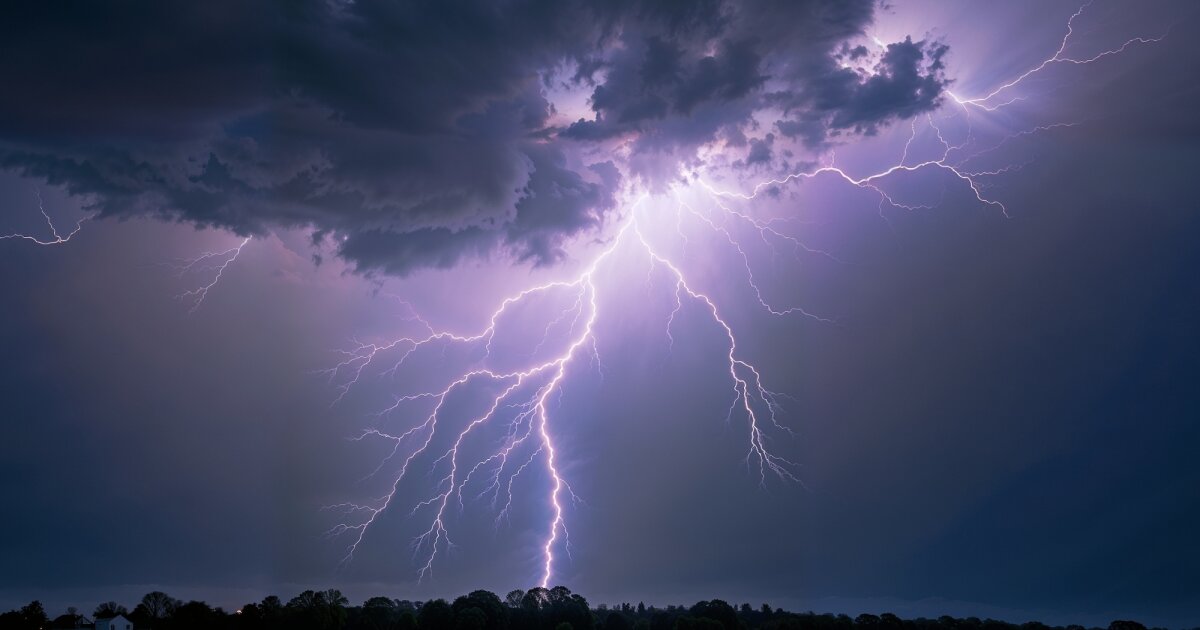 lightning in a dark sky over a field and trees