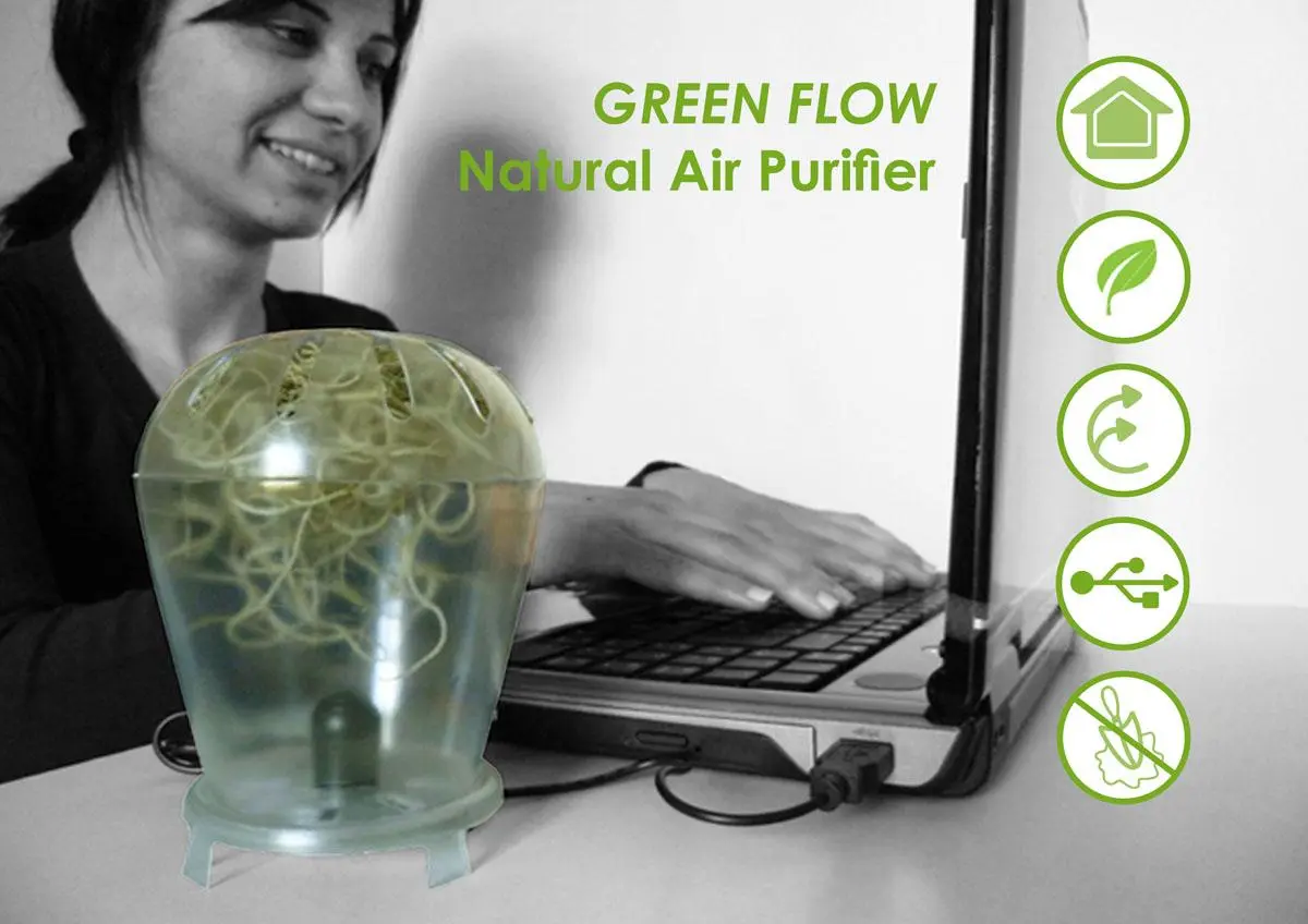 Green Flow is a natural desking air softener that uses a plant to refresh the air