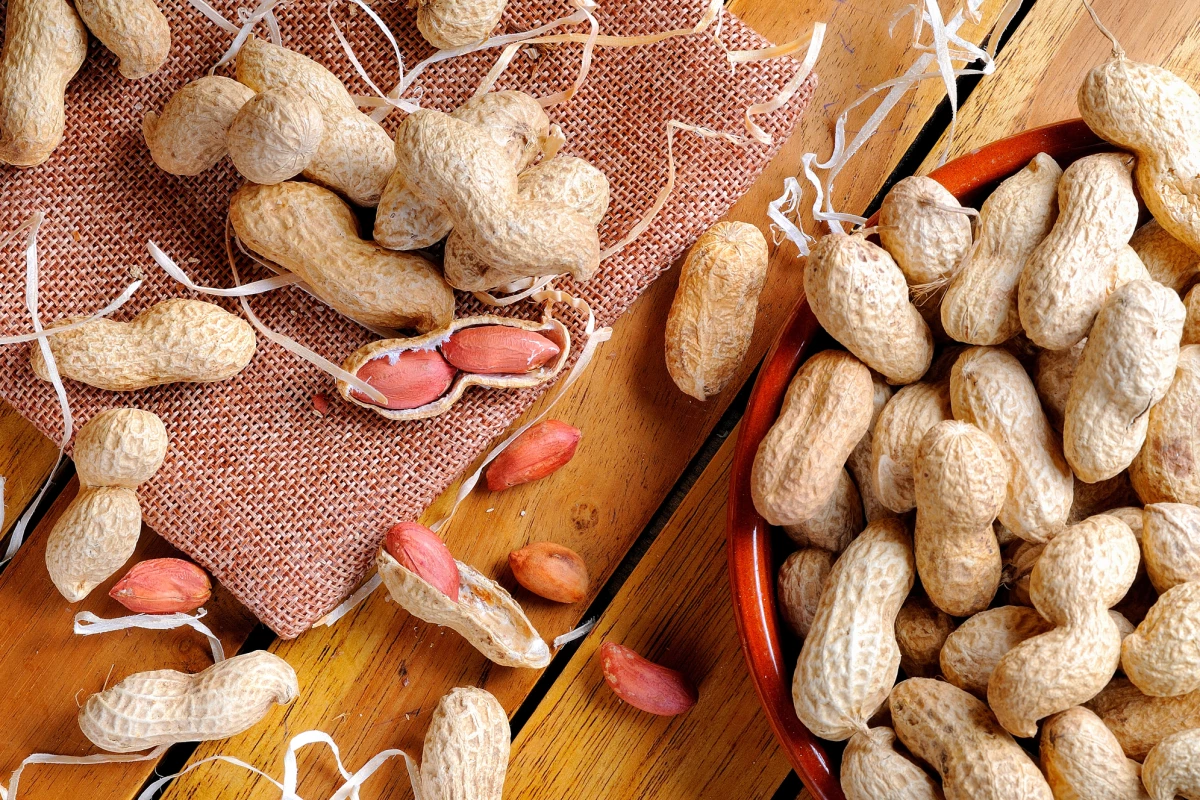 A treatment for peanut allergies is on a path to be approved and on the market by early 2020