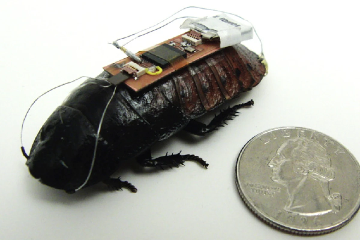 Researchers at North Carolina State University have used the Xbox Kinect to put roaches on autopilot