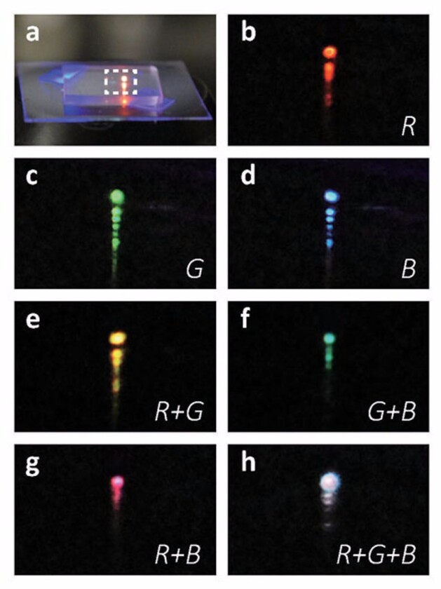 This photo collage shows the mixed emission color from a multi-segment nanosheet in the colors of red, green, blue, yellow, cyan, magenta and white
