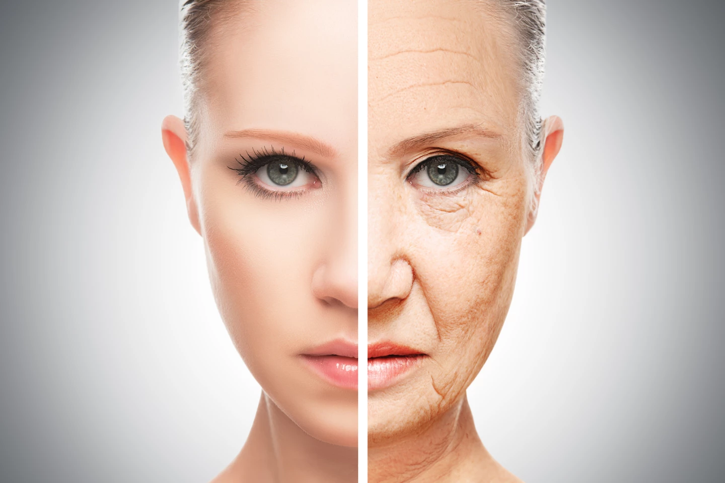 Researchers found proof of a pathway that controls aging