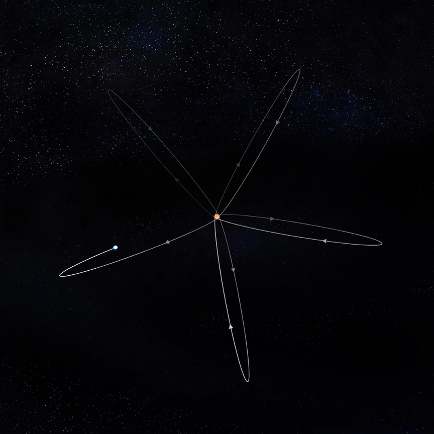 An illustration of the orbital path of the star, which over time comes to resemble a rosette