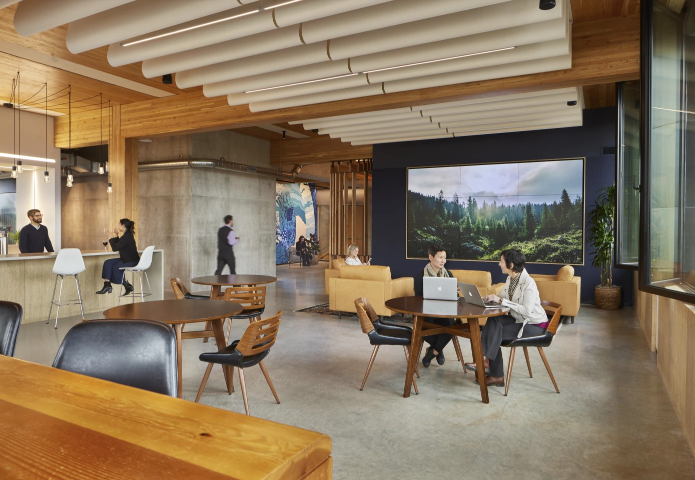 The PAE Living Building's interior decor leaves the timber uncovered, highlighting the natural beauty of the wood