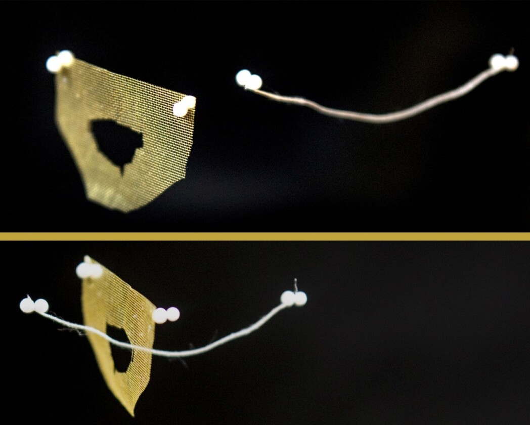 The sound tweezer could have important applications for noninvasive surgery