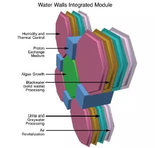Each Water Walls module would consist of four types of cells (Image: NASA)