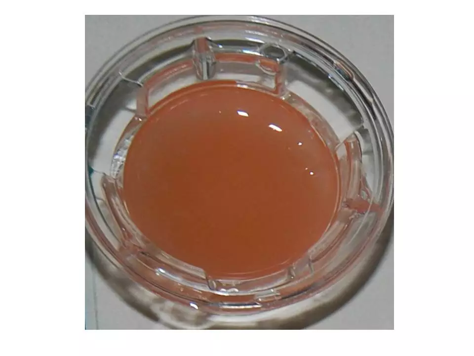 The University of Granada's fibrin-agarose artificial skin