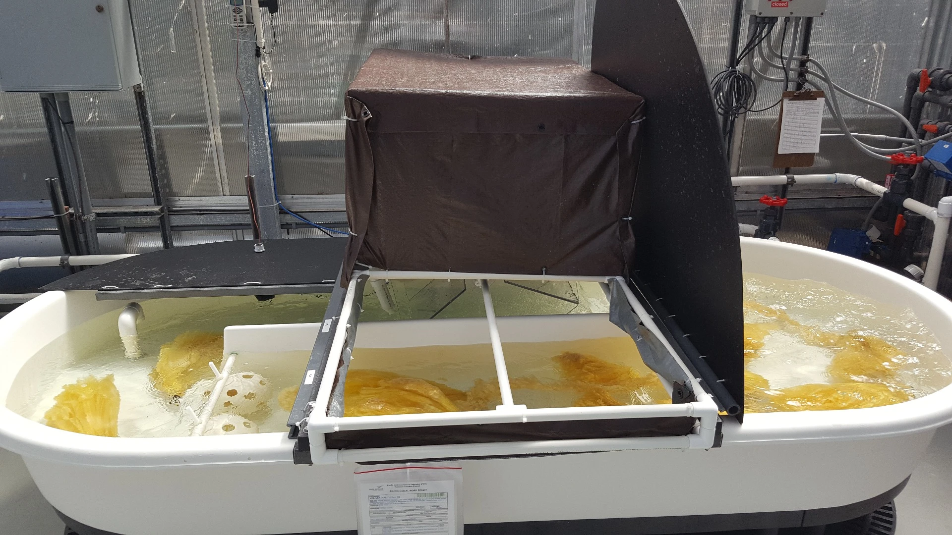 Test set up for uranium extraction