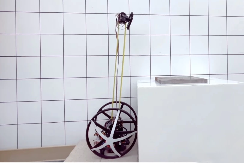 The EEWOC's EEMMMa limb has a maximum reach of 1.2 m (3.9 ft)