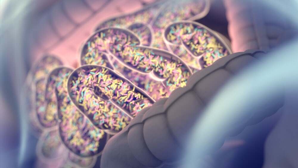 There are estimated to be 100 trillion tiny organisms living inside of us