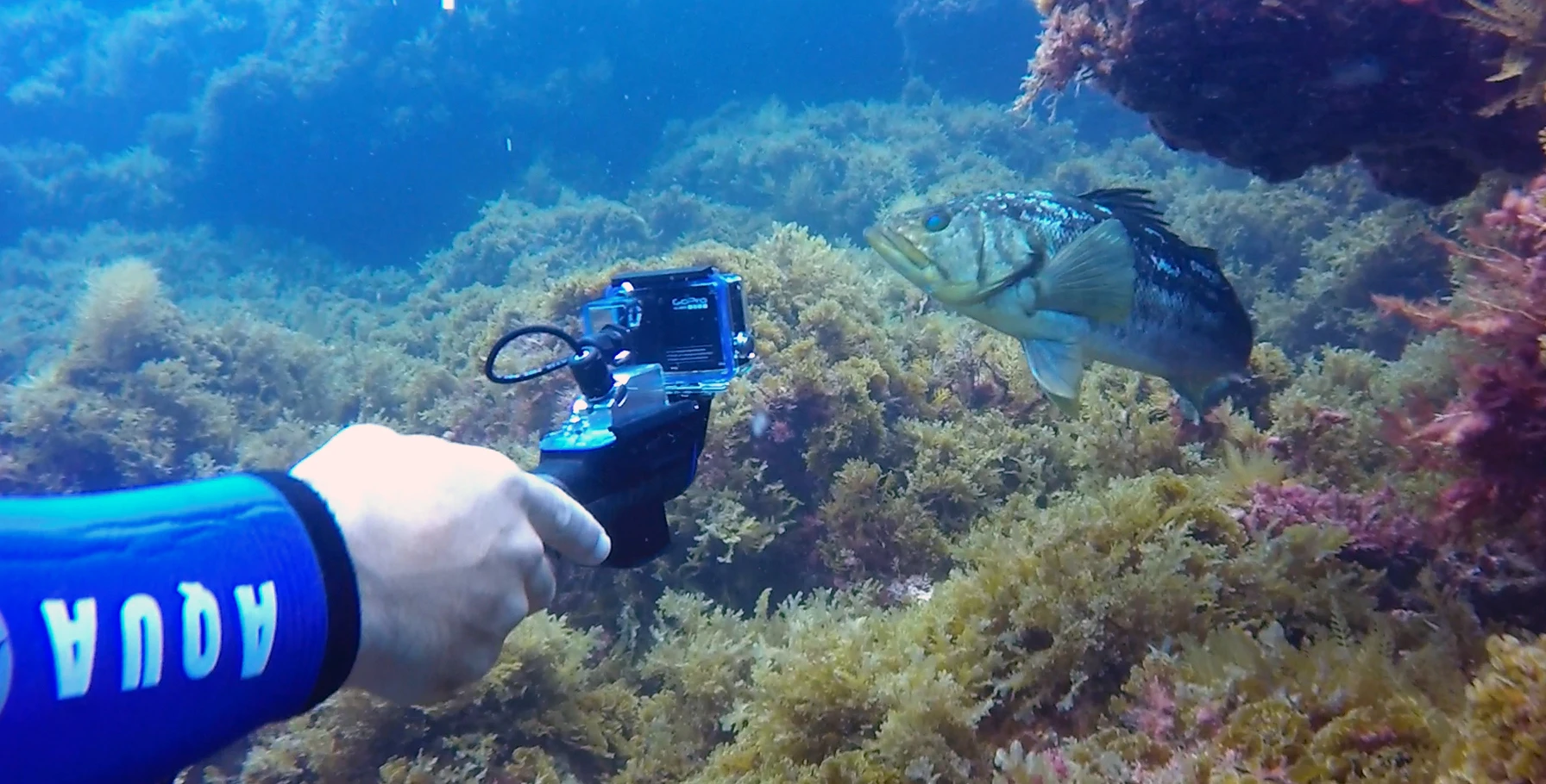 The PolarPro PowerGrip H2O is currently looking for funding on Kickstarter