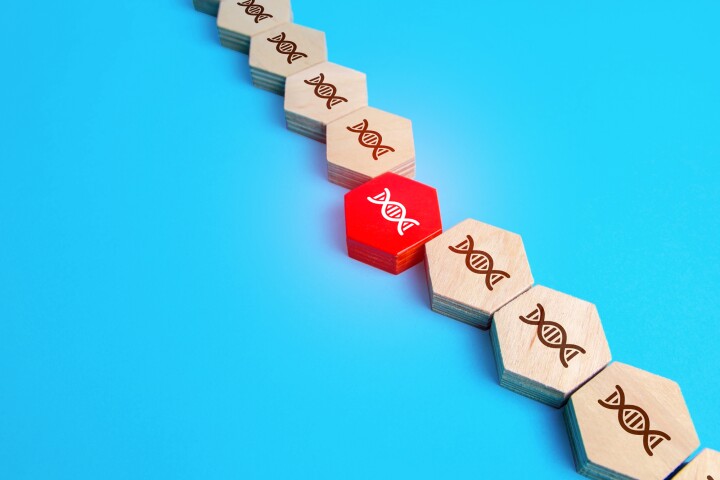 Researchers have discovered how a common lab molecule triggers a cycle of DNA damage and repair, which could make it useful against cancer