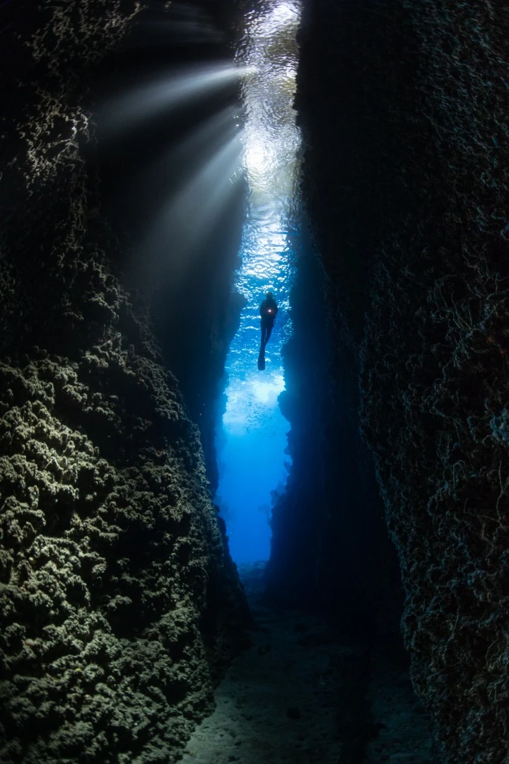 Honorable mention in the Wide Angle category. An underwater crevice captured in the Solomon Islands
