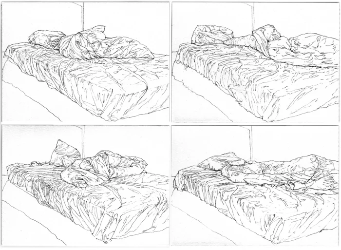 Some of Pablo Garcia's drawings, done with a camera lucida