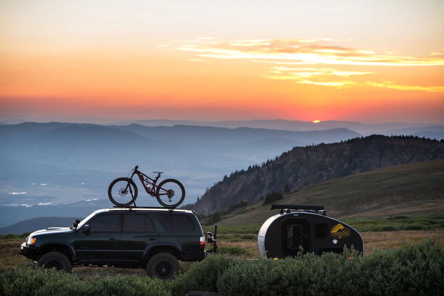 The sun goes down fast in the mountains, and the Timberleaf Pika offers a waiting bed