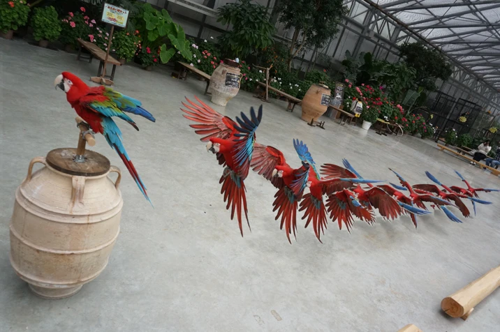 The Motion Shot PlayMemories Camera App from Sony identifies the moving subject in a high-speed burst of frames and merges them into a single image