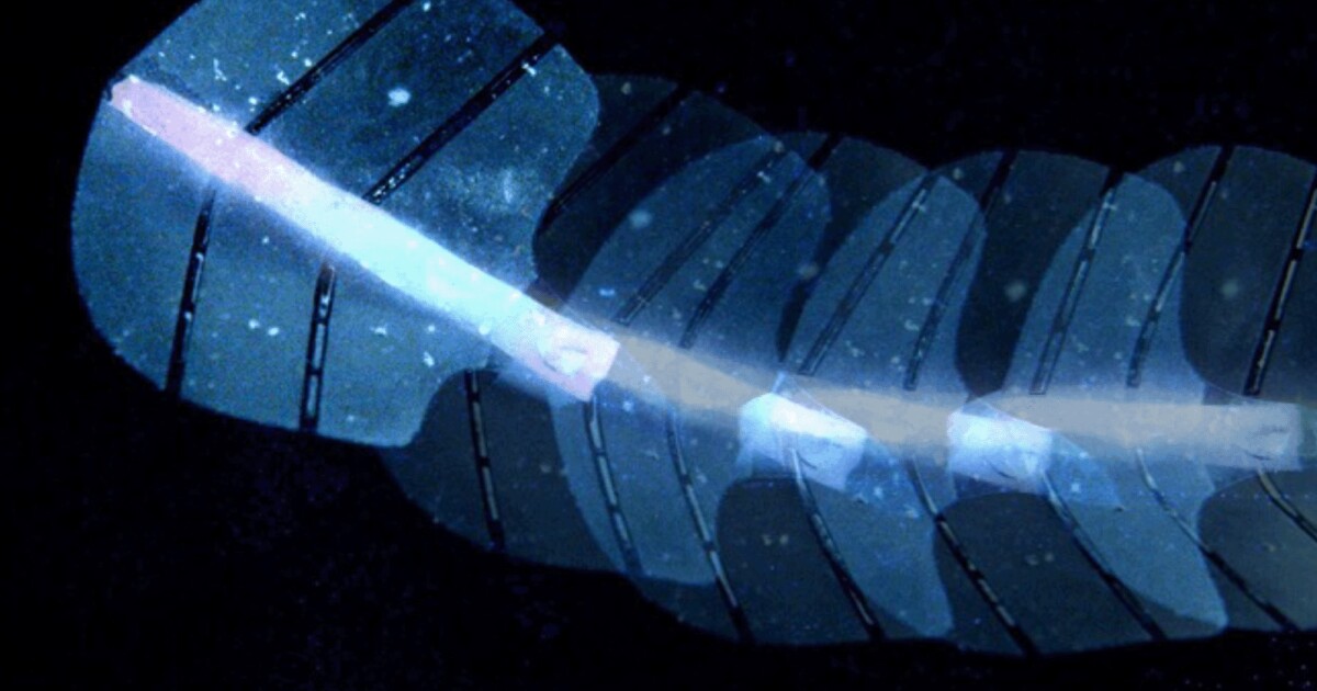 Stingraybot uses ultrasound microbubble muscles for medicine Stingraybot uses ultrasound microbubble muscles for medicine