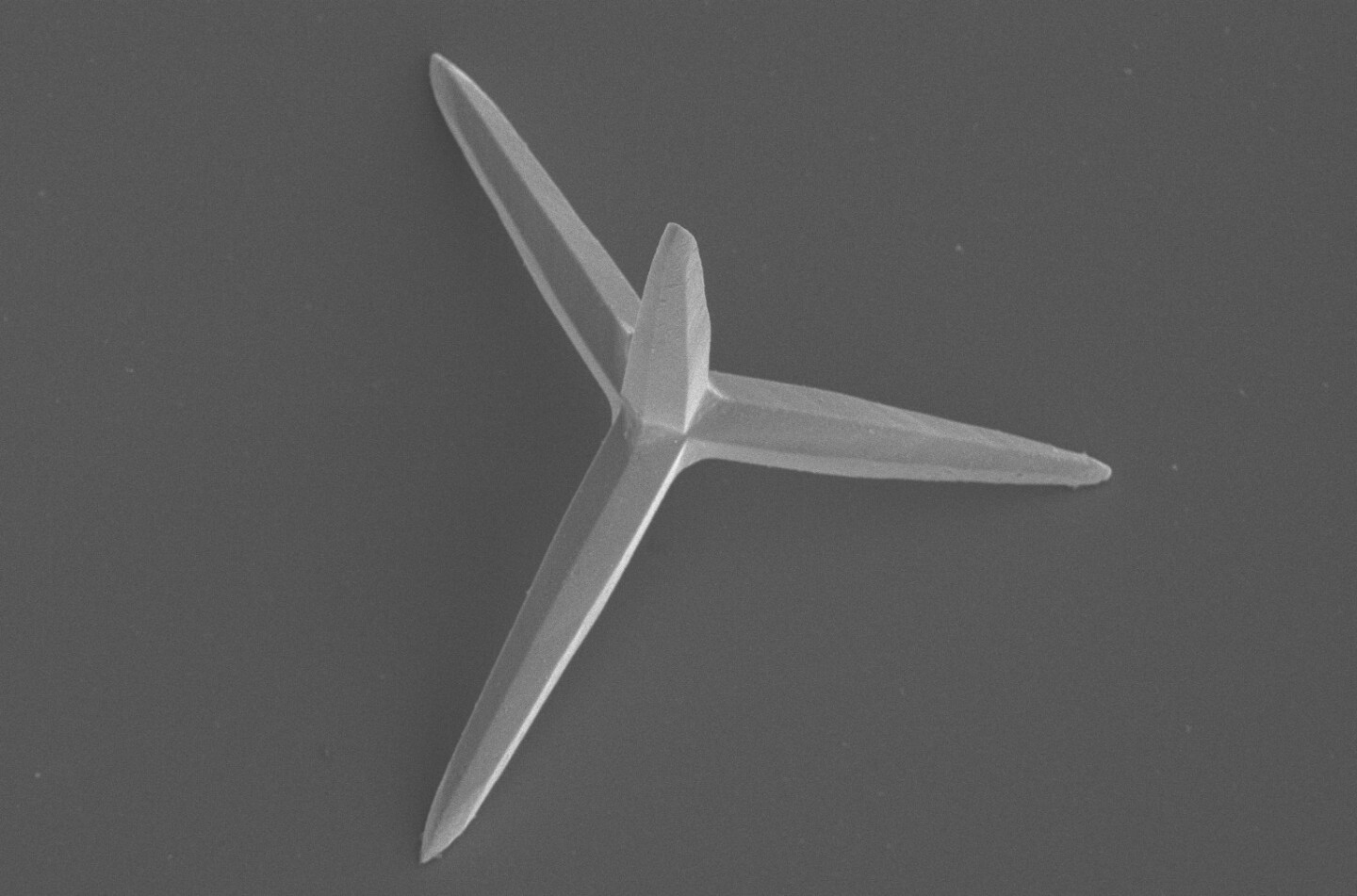 As it dissolves, this micromotor spins though liquid, releasing bacteria-killing compounds