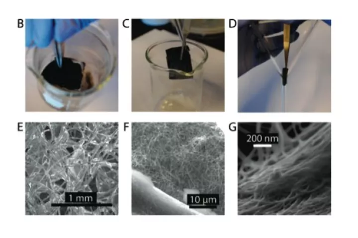 The filter being treated with silver and CNTs (B,C), and SEM images of the cotton, silver nanowires, and CNTs (E,F,G)