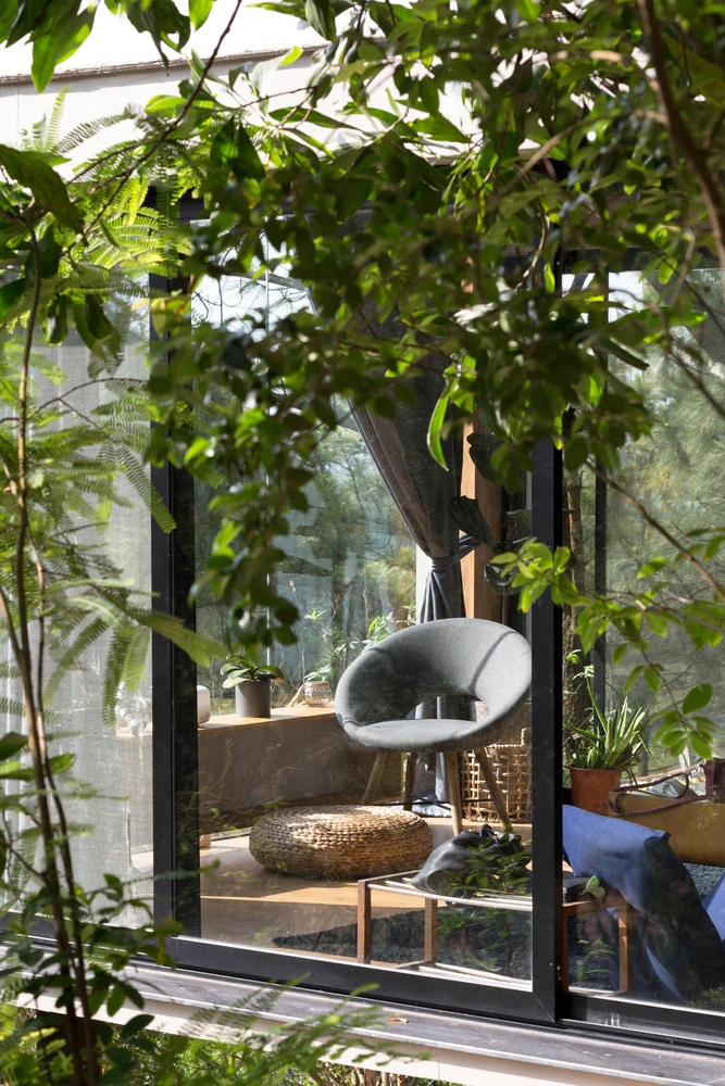 Looking into the lounge of the Foest House 02, which sits amid the trees