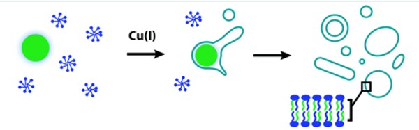 The process used by Deveraj and Budin to create a synthetic cell membrane